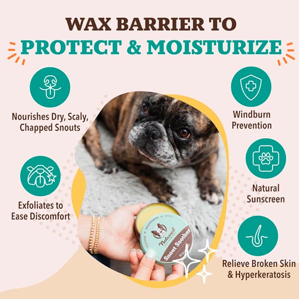 638499342716_5 Bálsamo en Barra Snout Soother para Nariz de Perros 0.15oz - Marca Natural Dog Company - Imagen 5
