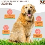 Glucosamina para Cadera y articulaciones para perros, 90 Tabletas - Marca Natural Dog Company - Imagen 4
