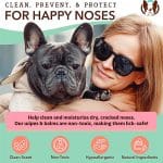 Toallitas Snout Wipes para Nariz 50 Unidades - Marca Natural Dog Company - Imagen 3