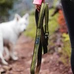 Coastal – Correa Reflectante para Perros con Cierre de Tijera K9 Explorer Marrón - Imagen 3