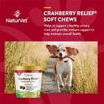 Suplemento de Arándano para Perros 60 Chews - Marca Naturvet - Imagen 3