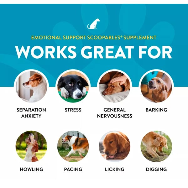 Suplemento Calmante Emotional Support Scoopable para Perros 11 oz – Marca Naturvet - Imagen 3