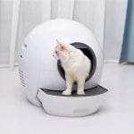 CABINA INTELIGENTE BAÑO P/GATOS - Imagen 3