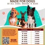 Glucosamina líquida, Cadera y articulaciones, para perros, 473 ml (16 oz. Líq.) - Imagen 6