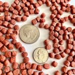 Zeigler Alimento Peces Goldfish 10g - Imagen 2