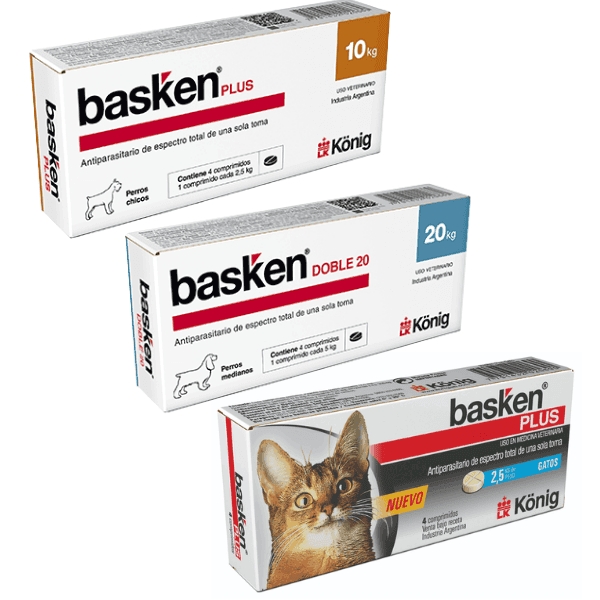 basken BASKEN - Imagen 1