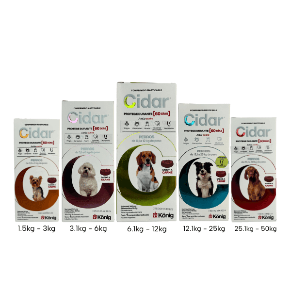 cidar portada CIDAR PERROS - Imagen 1